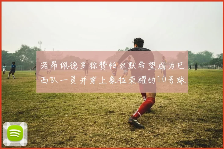 若昂佩德罗称赞帕尔默希望成为巴西队一员并穿上象征荣耀的10号球衣